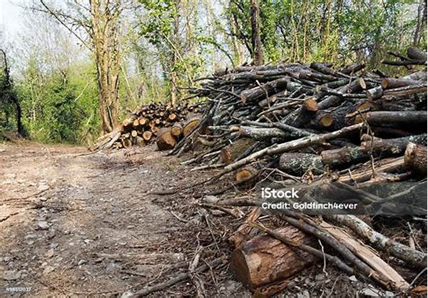 Perusakan Habitat Mamalia Sulawesi