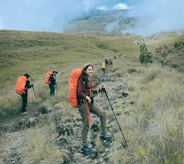 Langkah Registrasi Mendaki Gunung Rinjani