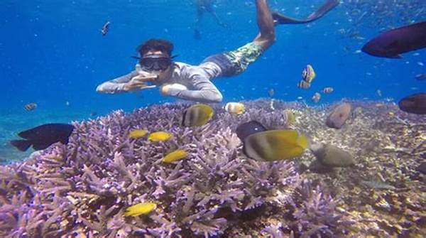 Tempat Snorkeling Dunia Paling Dikenal