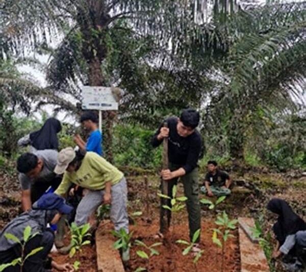 Pemulihan Vegetasi Untuk Pencegahan