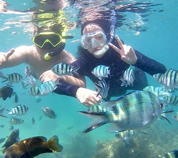 Snorkeling Bersama Keluarga Derawan