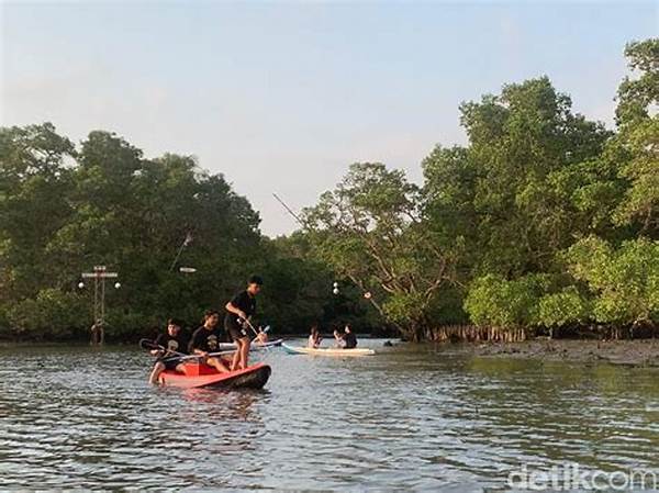 Menyusuri Hutan Mangrove Bali