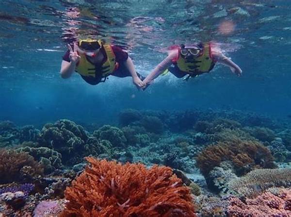 Lokasi Snorkeling Terbaik Planet Ini