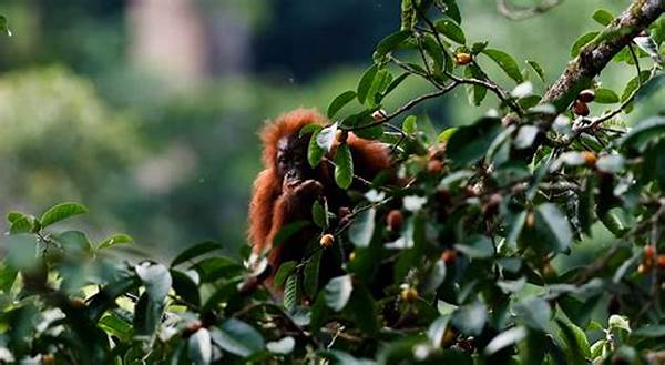 Mengenal Perilaku Satwa Liar