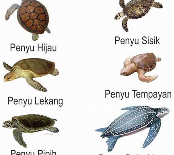 Spesies Laut Eksotis Terancam Punah