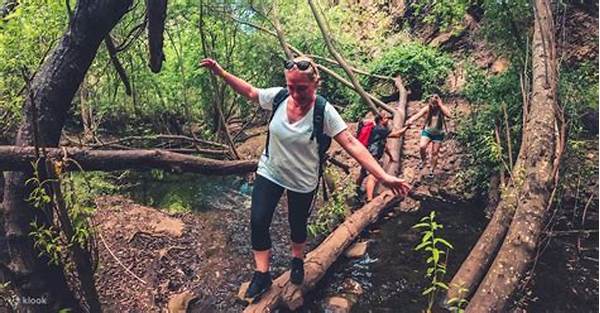 Tips Aman Trekking Hutan