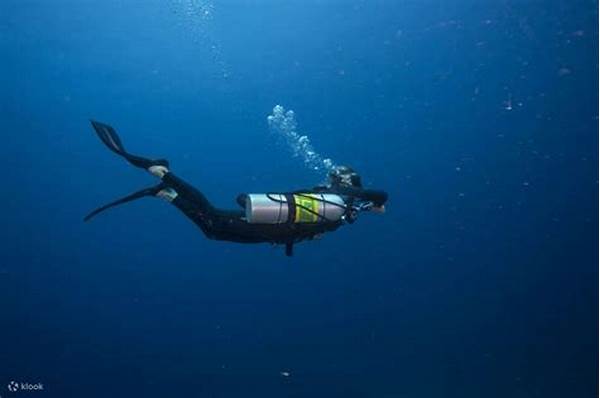 “eksplorasi Dunia Laut Penyelam Profesional”