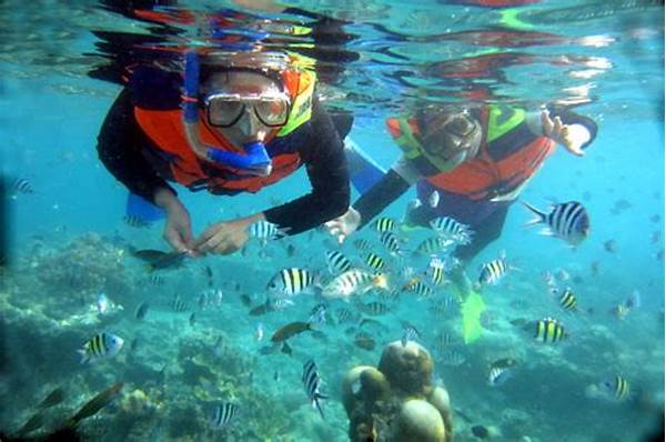 Liburan Snorkeling Pulau Derawan