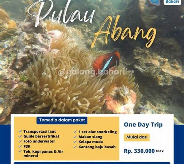 Jelajahi Dunia Bawah Air Kakaban