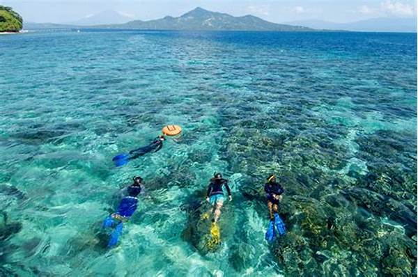Panduan Diving Di Bunaken