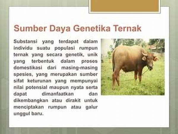 Pengelolaan Sumber Daya Genetika