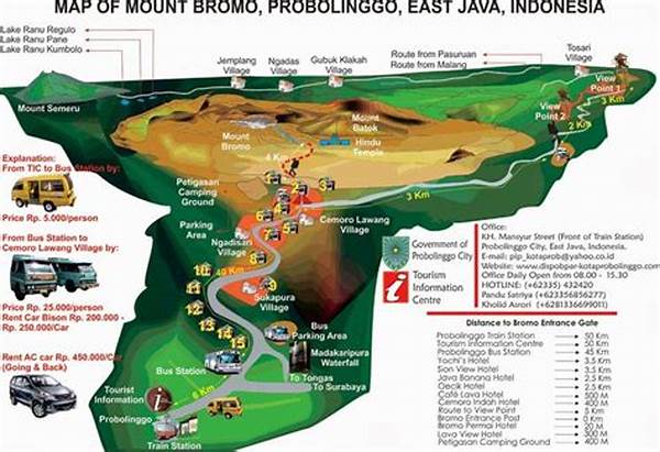 Rute Perjalanan Menuju Bromo Pagi Hari.